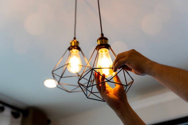 Best Electric Panel Repair  in Clarence, IA