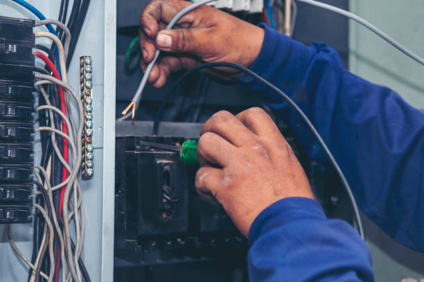 Best Electric Panel Repair  in Clarence, IA